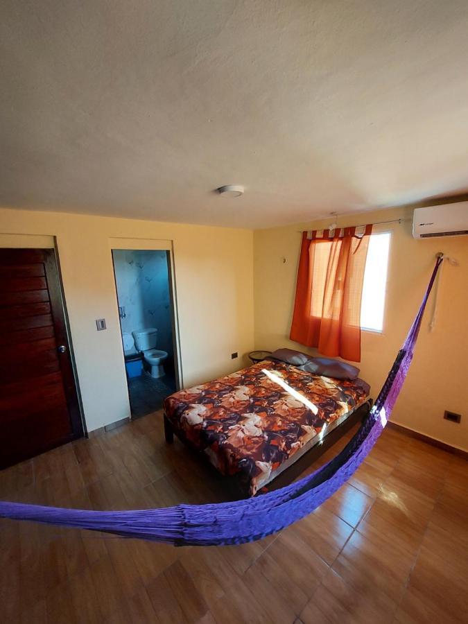 Venado 28 Pansiyon Cancun Dış mekan fotoğraf