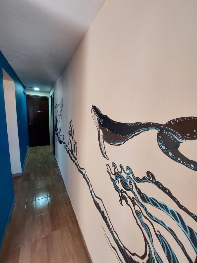 Venado 28 Pansiyon Cancun Dış mekan fotoğraf