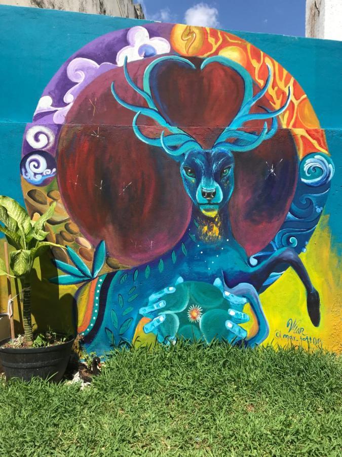 Venado 28 Pansiyon Cancun Dış mekan fotoğraf