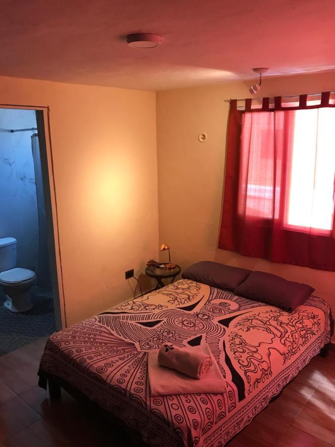 Venado 28 Pansiyon Cancun Dış mekan fotoğraf