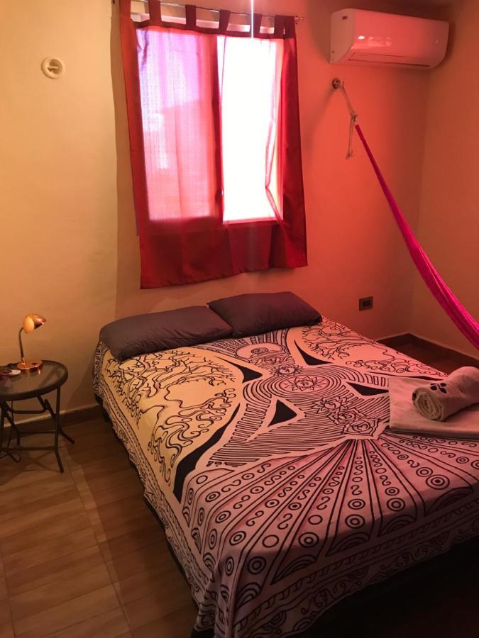 Venado 28 Pansiyon Cancun Dış mekan fotoğraf